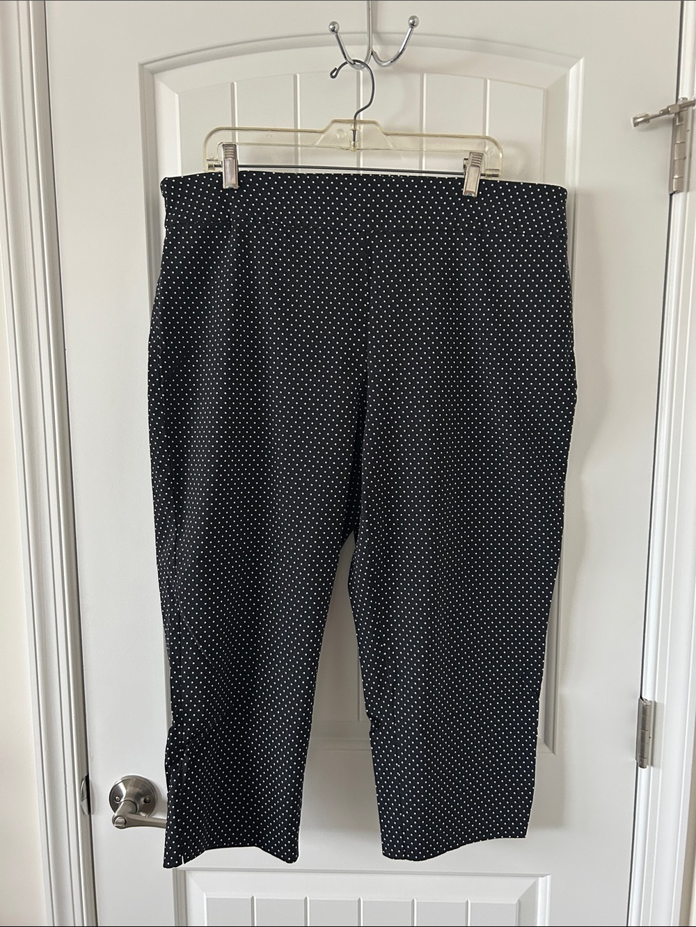 Avenue Black Polka Dot Ankle Pants